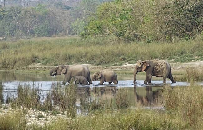 Bardia National Park Tour