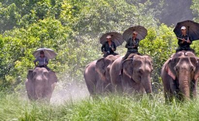 Kathmandu Valley and Bardiya National Park Tour