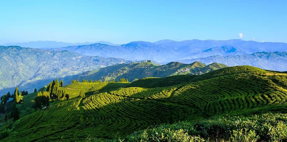 Kathmandu Valley and Tea Garden Tour