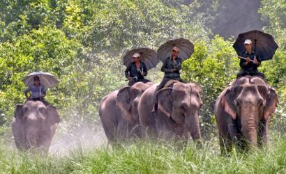 The Bardia National Park Tour